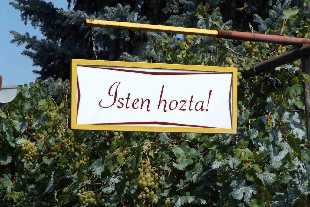 Opusztaszeri Mozes Vendeghaz Exterior photo